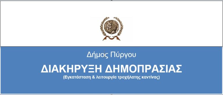Διακήρυξη δημοπρασίας
